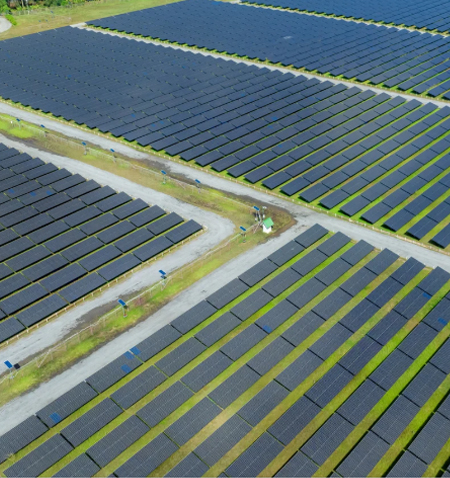 Agri-Photovoltaik (Agri-PV) mit MAXX SOLAR