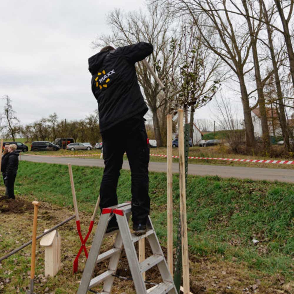MAXX SOLAR in Thüringen